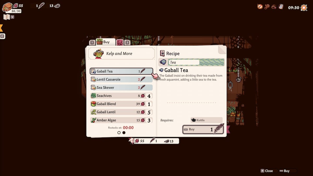 Buying the Gaball Tea recipe from Finn in Magical Delicacy. 