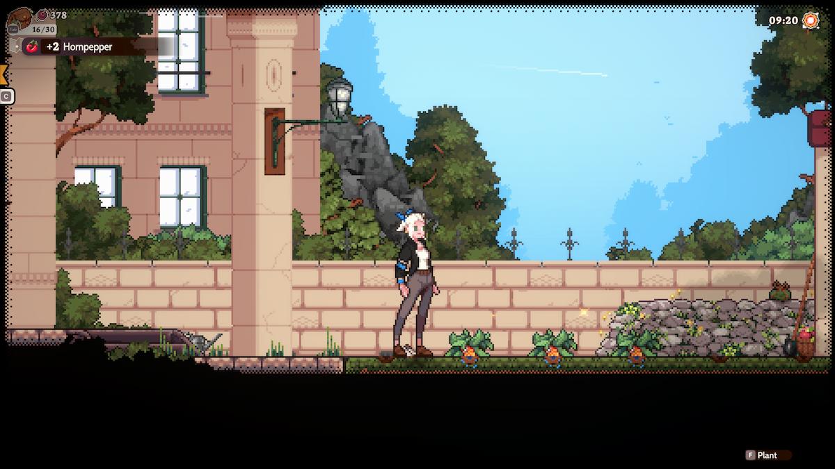 Orange crops growing out of the ground in Magical Delicacy.