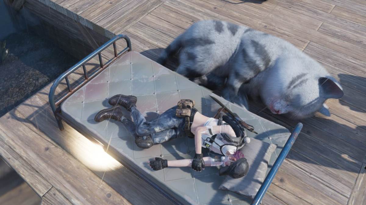 How to get a pet cat in Once Human Pro Game Guides