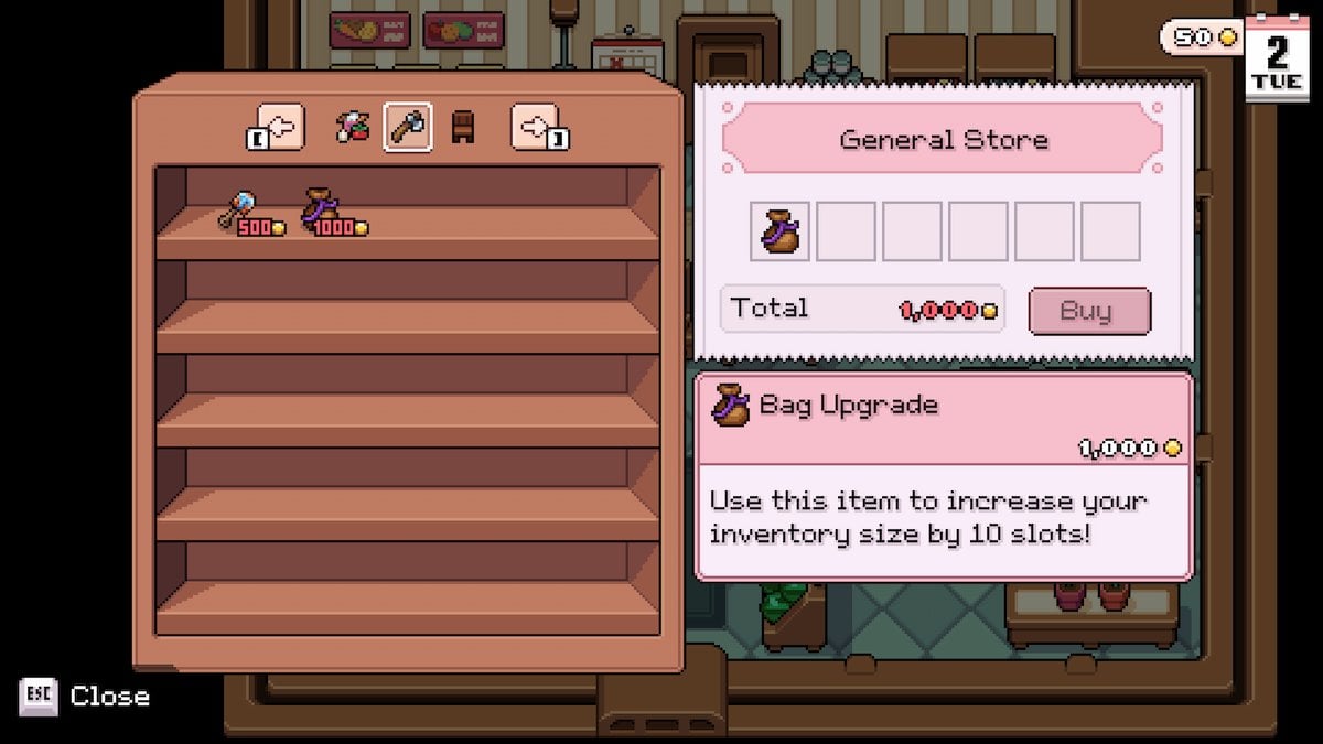 The first bag upgrade in the General Store of Fields of Mistria.