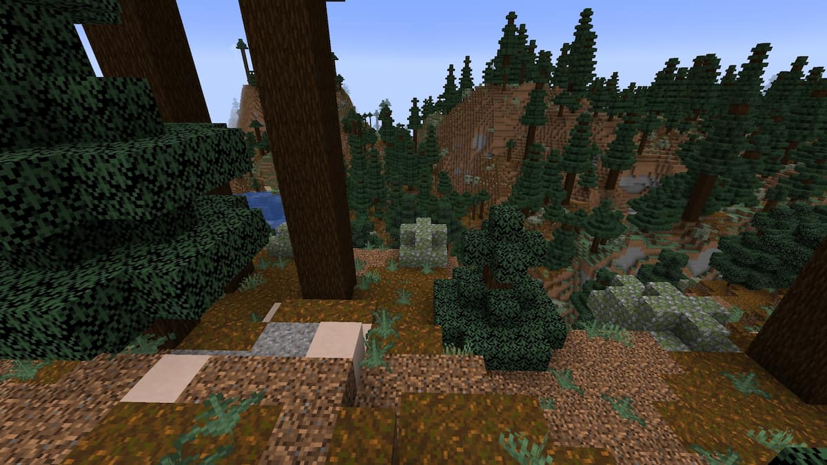 Taiga hills with two Trail Ruins in Minecraft