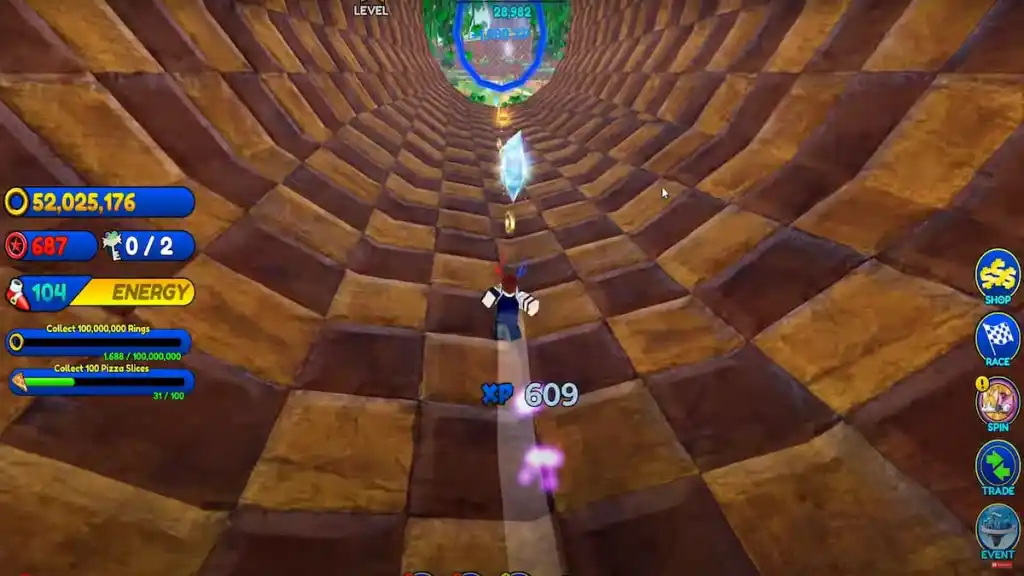 A Shine in Sonic Speed Simulator