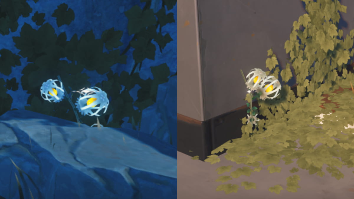 All Lanternberry locations in Wuthering Waves (Map) Pro Game Guides