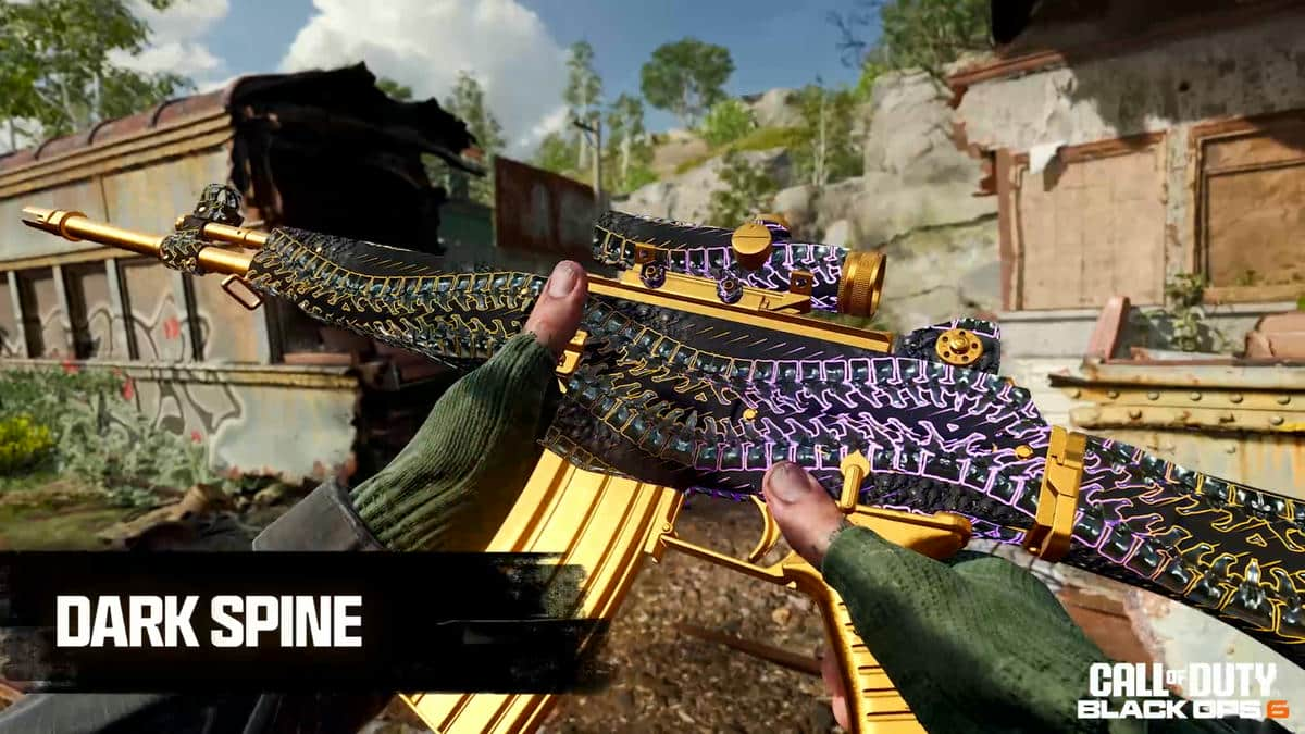 All Black Ops 6 Mastery Camos