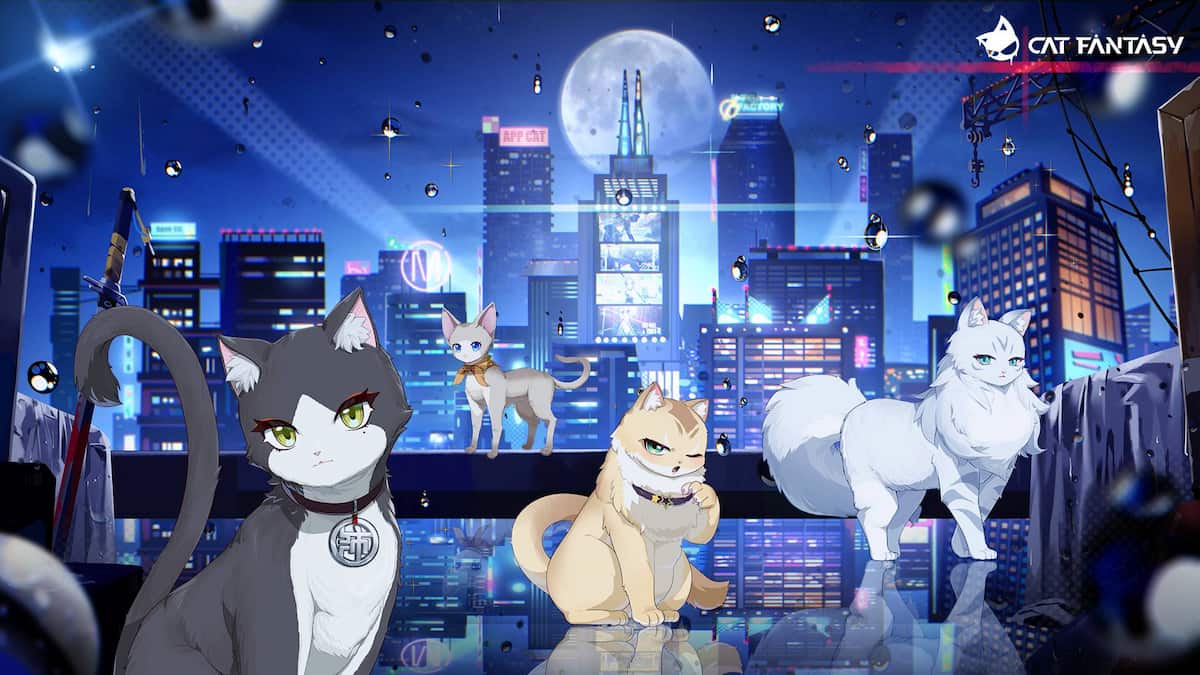 Cat Fantasy Pro Game Guides