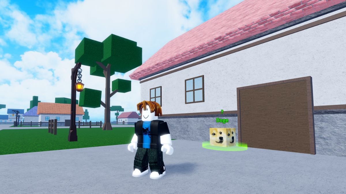 Doge NPC location in Meme Sea Roblox