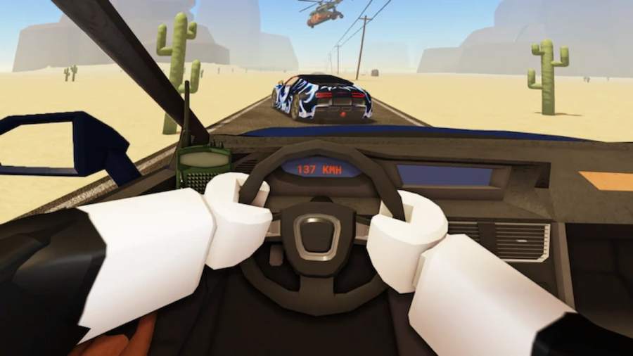 A person driving in A Dusty Trip