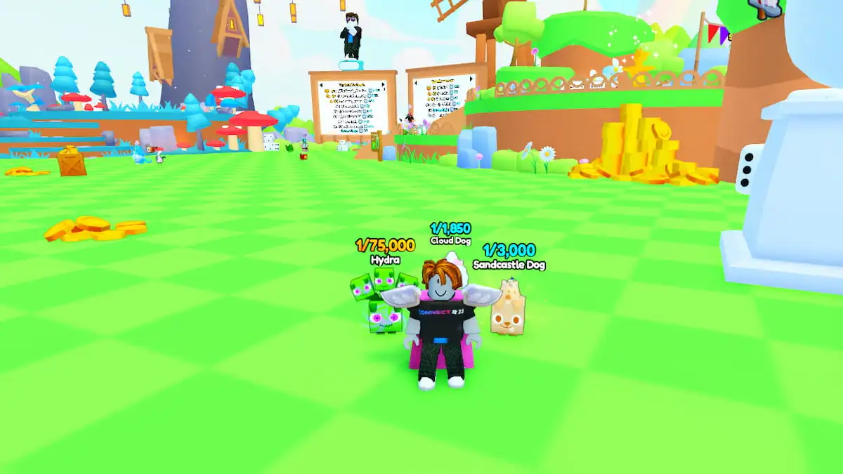 A player with several pets in PETS GO