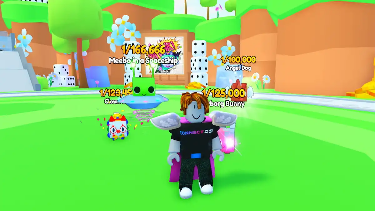 A player standing in PETS GO