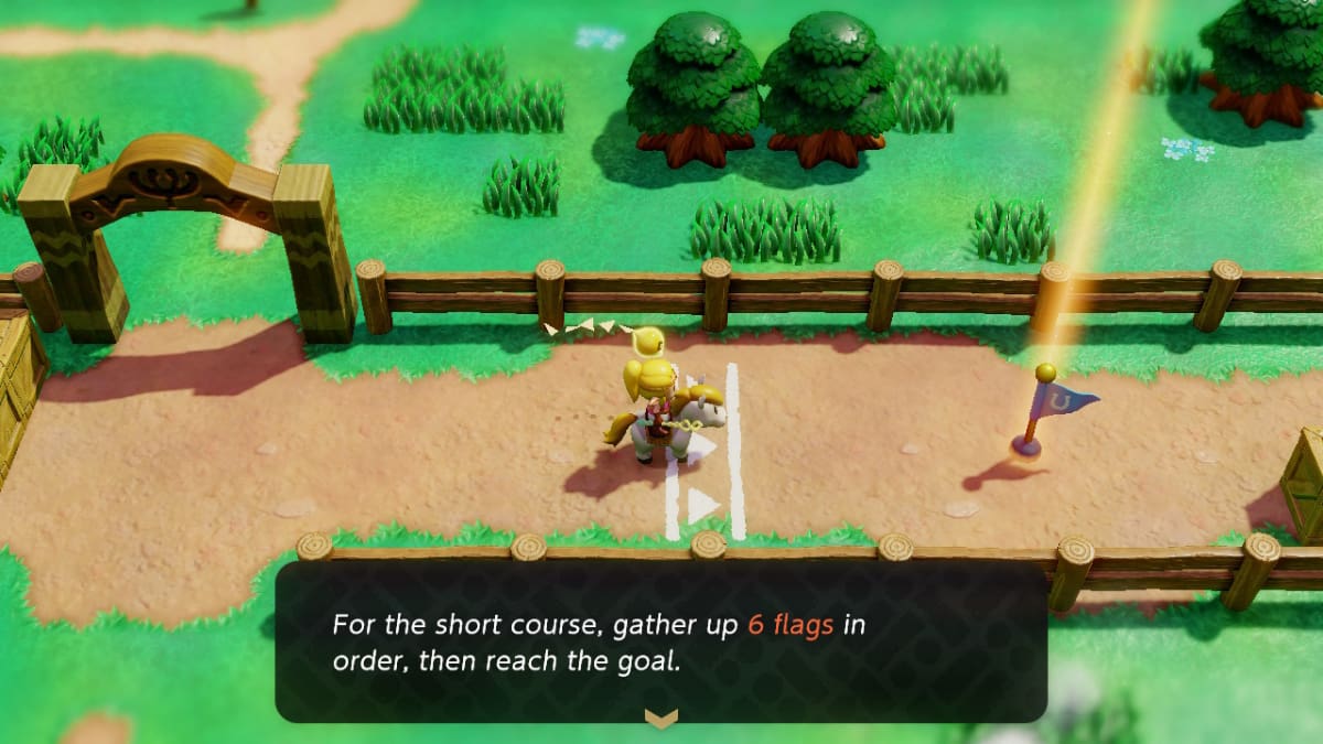 Starting the Short Course Flag Race in the Legend of Zelda: Echoes of Wisdom