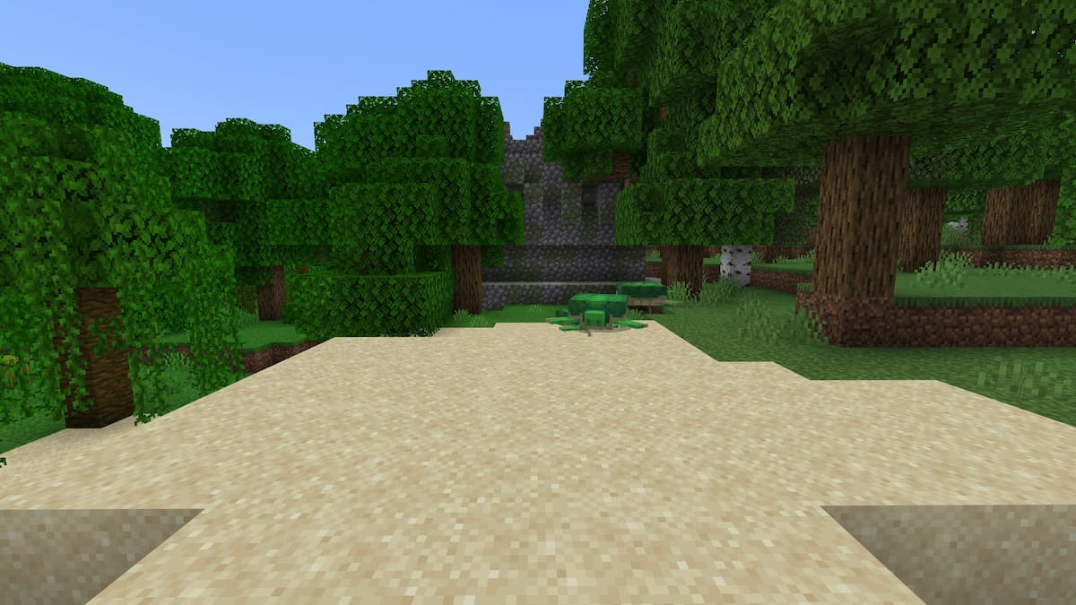 A Minecraft Jungle Temple next to a Beach biome that spawns turtles