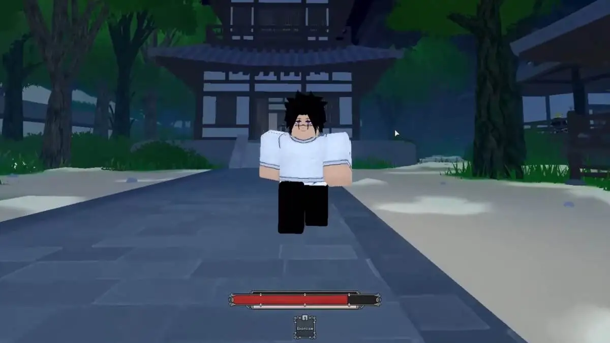 Roblox Sorcery Character in frame