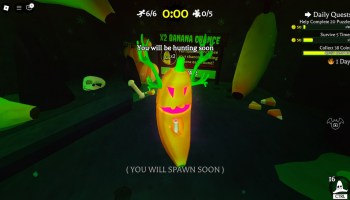 The Ry-Deeri Pumpkin banana skin from Banana Eats on Roblox.