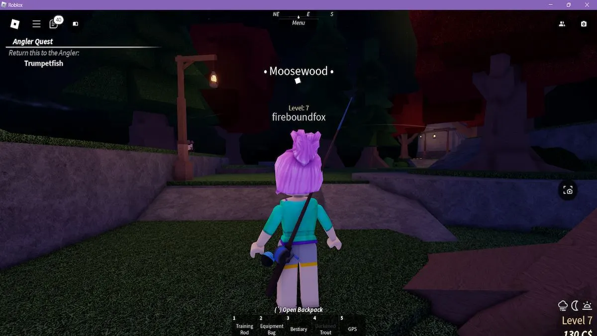 See after you climb the ladders on Moosewood in Fisch on Roblox. 