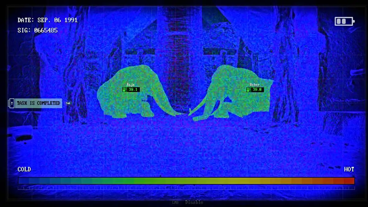 Elephant temperature readings in Zoochosis