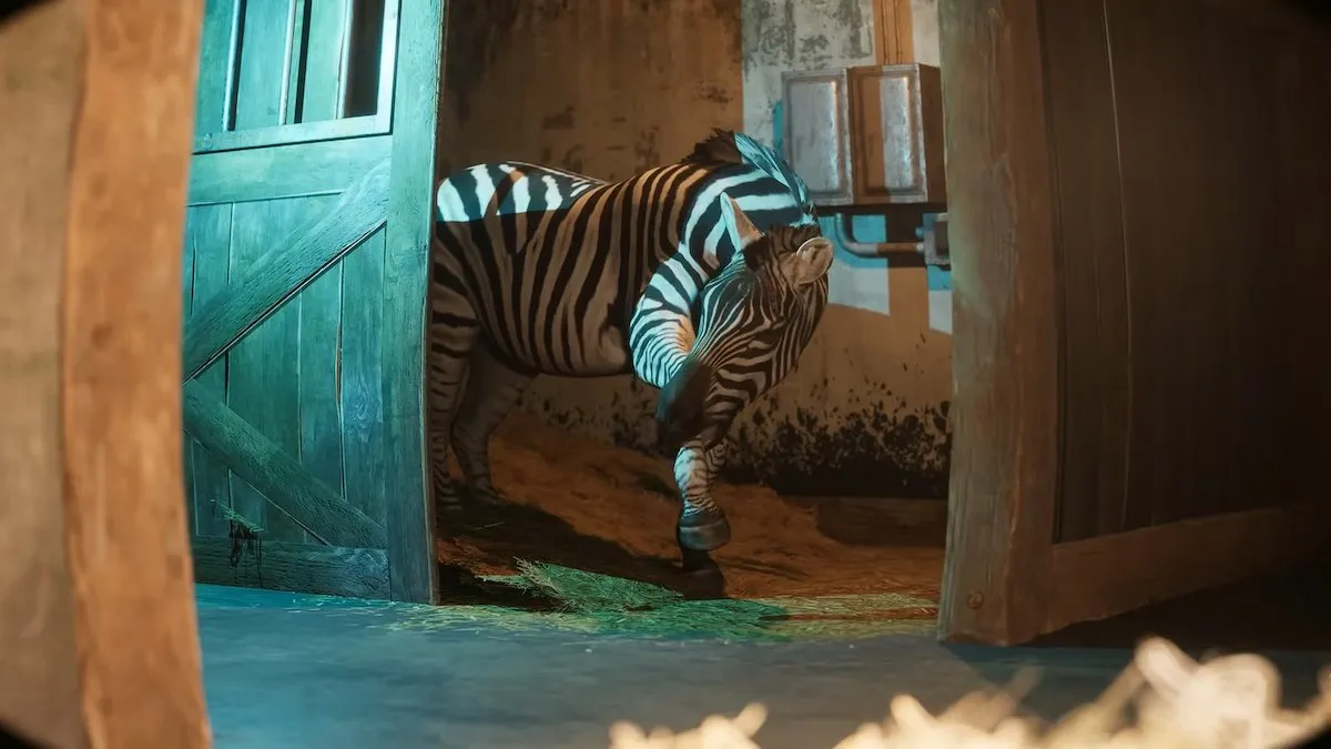 A zebra in Zoochosis before they are mutated.