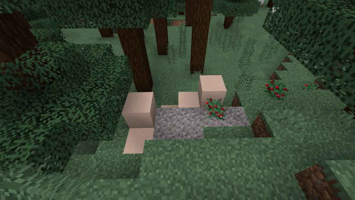 A set of Trail Ruins by Holly bushes in Minecraft