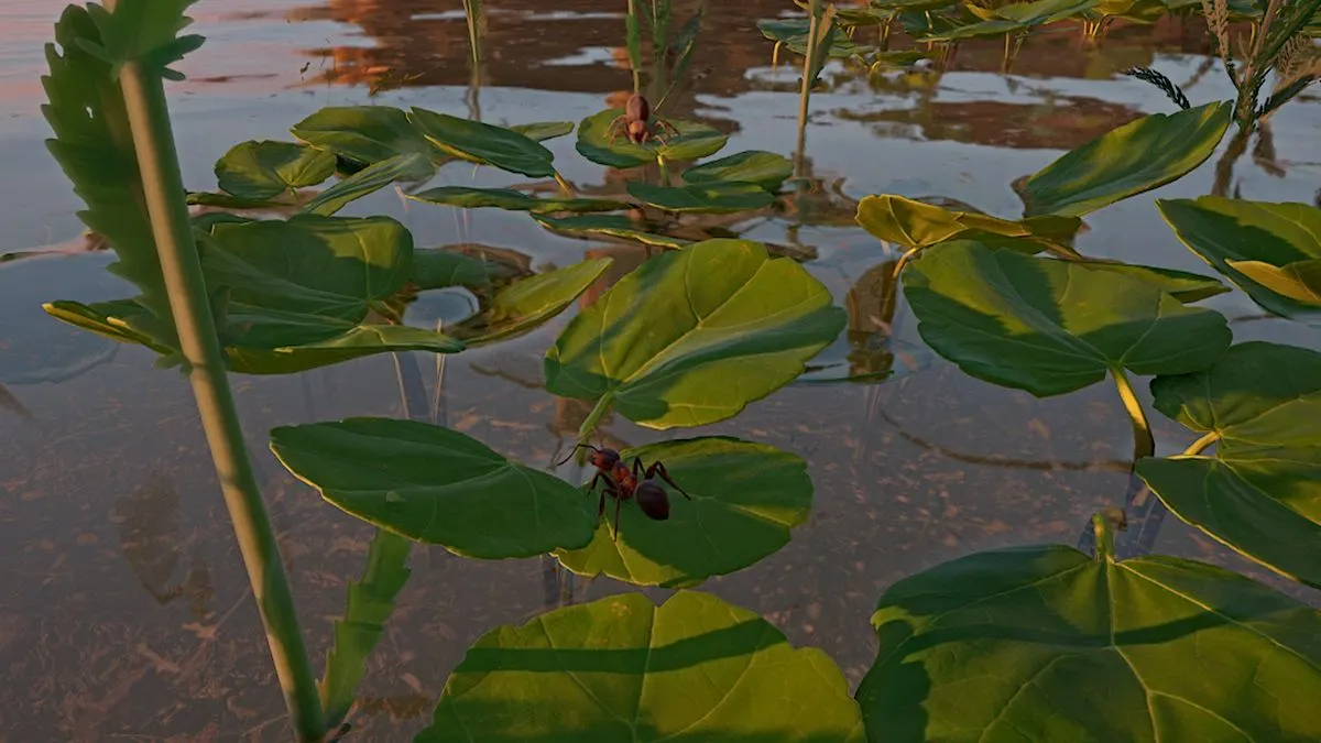 Jumping Spider in Empire of the Ants