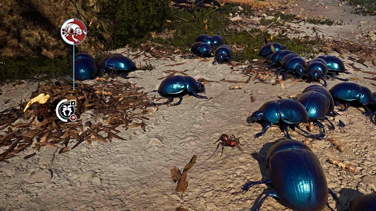 Dor Beetles in Empire of the Ants