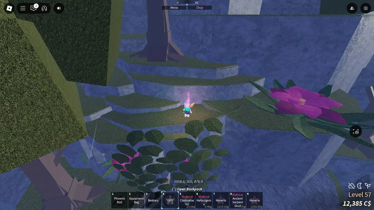 Avatar standing over the cave where the Pheonix Rod is in Roblox Fisch.