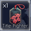 fighter title in jujutsu infinite