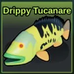 Drippy Tucanare