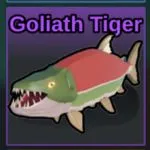 Goliath Tiger