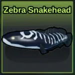 Zebra Snakehead in Ancient Jungle