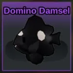 Coral Reefs Domino Damsel