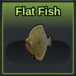 Flat Fish in Coral Reefs
