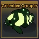 Greenbee Grouper Fish It