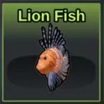 Lion Fish in Coral Reefs
