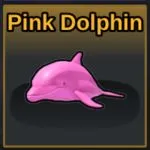 How to get the Pink Dolphin