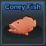 Crater Island Coney Fish