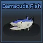 Barracuda Fish on Fisherman Island
