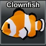 Where to find the Clownfish