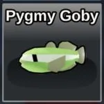 Fish It Pygmy Goby