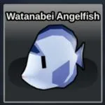 Fisherman Island Watanabei Anglefish