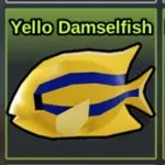 Yello Damselfish in Fish It