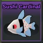How to get Sushi Cardinal in Kohana