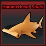 Hammerhead Shark in the Ocean
