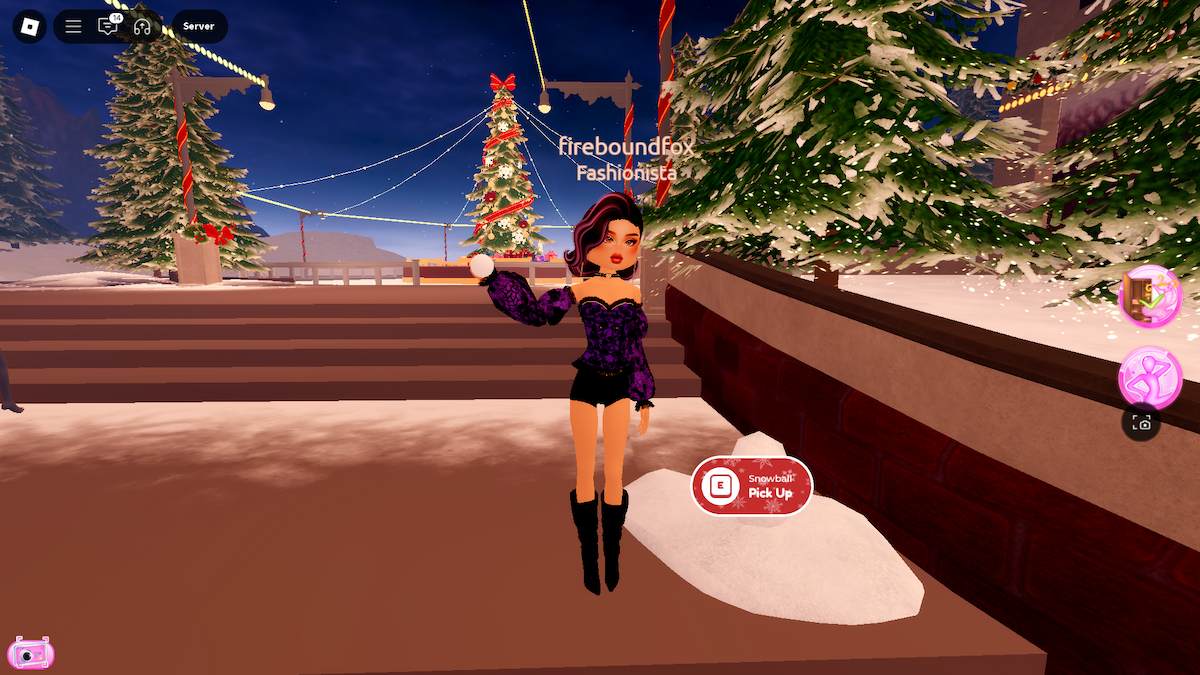 Throwing snowballs in Winter Town in DTI.