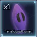 transfigured human item in jujutsu infinite