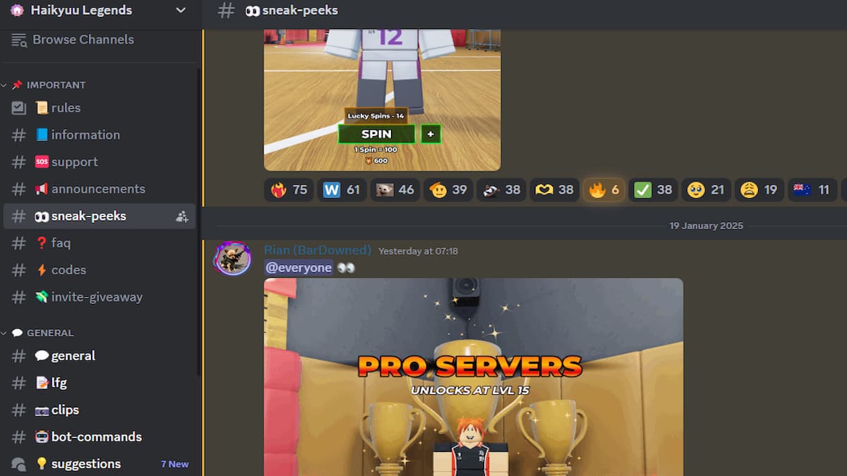 The Haikyuu Legends Discord Channel