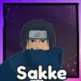 Sakke game image