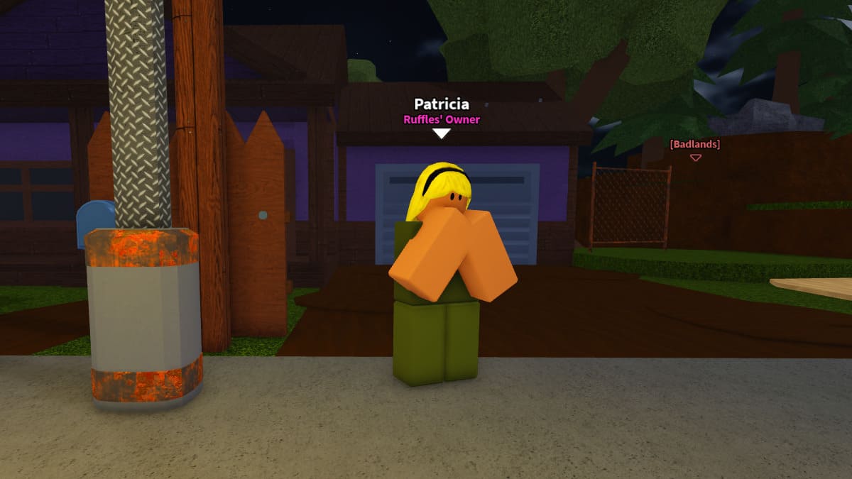 Patricia, Ruffles Owner NPC in Dig It Roblox