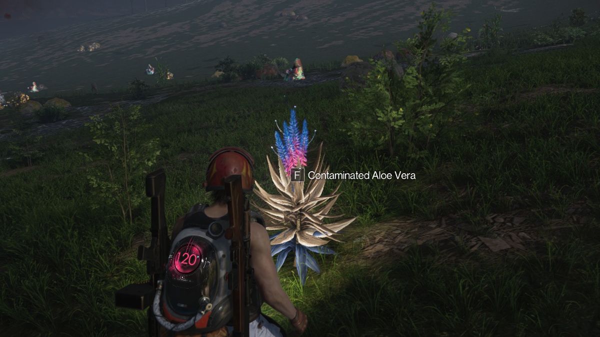 A Contaminated Aloe Vera plant located in northwest Chalk Peak in Once Human.