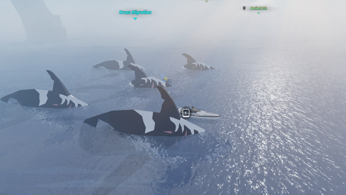 The normal Orca Migration in Fisch