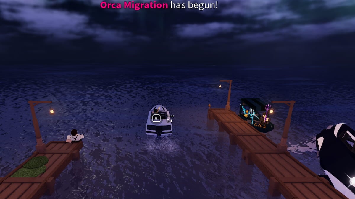 Fisch Orca Migration