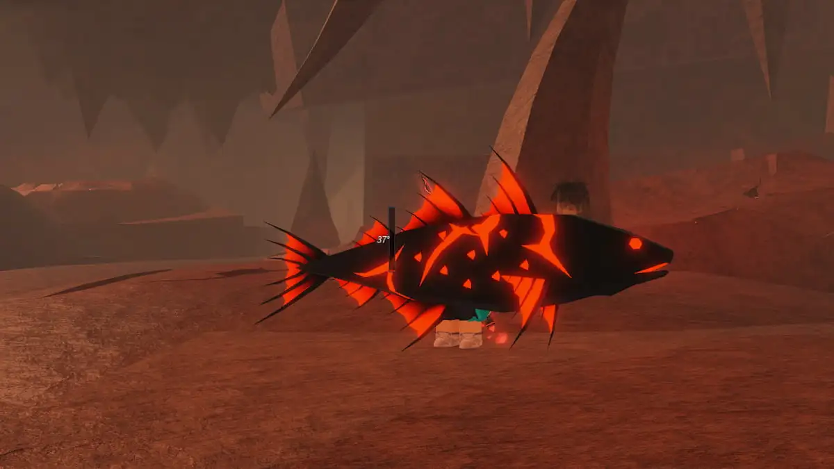 A fish in Volcanic Vents